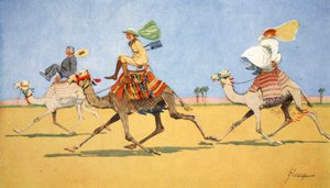 Cup and Ball, the Camel